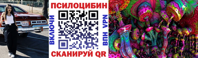 наркотики  кракен ССЫЛКА  Галлюциногенные грибы Cubensis  Мценск 