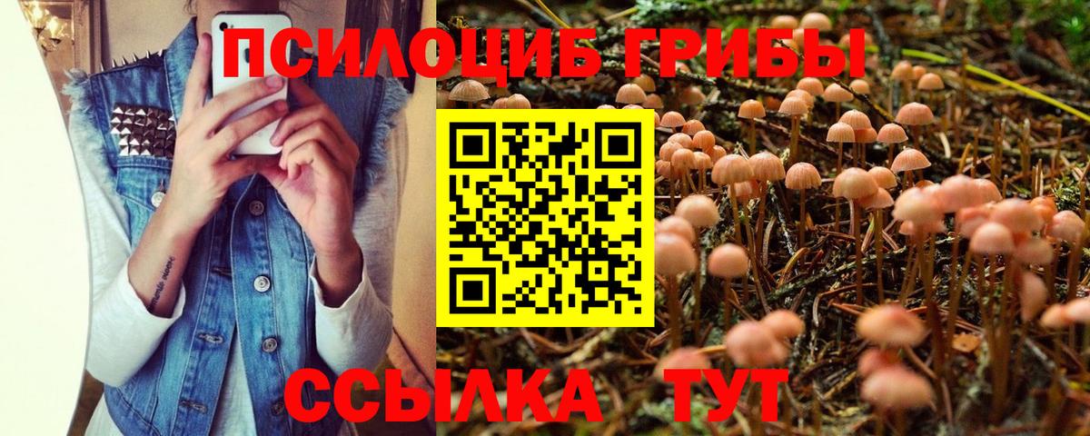 Галлюциногенные грибы Psilocybine cubensis  Галлюциногенные грибы Magic Shrooms  Мценск 