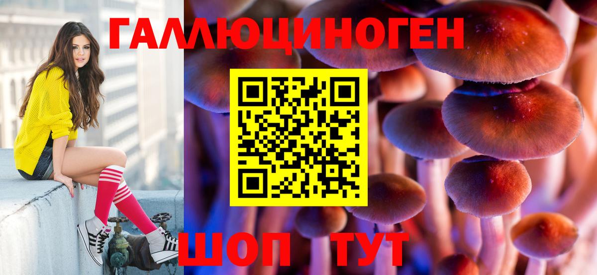 Псилоцибиновые грибы GOLDEN TEACHER Мценск