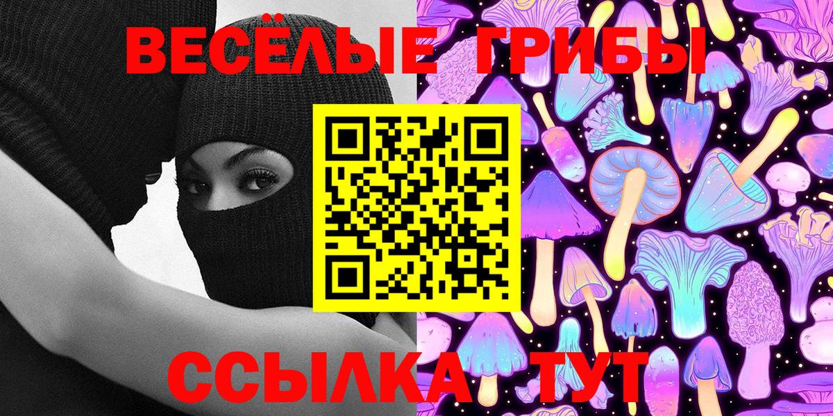 Мценск  Псилоцибиновые грибы Cubensis  Вход с VPN 
